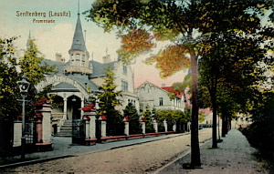 Senftenberg